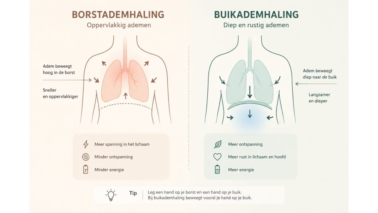 Visualisatie van borstademhaling versus buikademhaling met eenvoudige ademstroomweergave